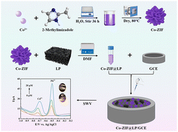 Graphical abstract: Simultaneous detection of cadmium and lead ions in grains using an electrochemical sensor based on a Co-ZIF@carbonized litchi pericarp composition
