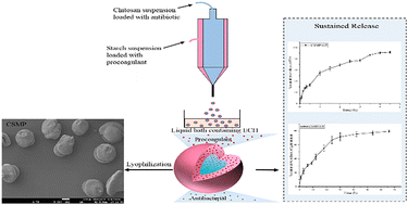 Graphical abstract: Electrohydrodynamically formed core–shell structure of chitosan–starch composite microparticles for induced surface functionality and phased release of bioactive species