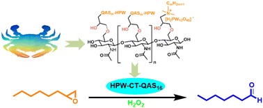 Graphical abstract: Selective oxidative cleavage of epoxides to aldehydes by chitin quaternary ammonium phosphotungstate as a recycle catalyst