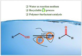 Graphical abstract: Synergistic catalysis: Ce(iv)-driven oxidation reactions facilitated by micellar composites