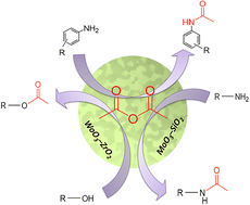 Graphical abstract: Acetylation of anilines, amines, and alcohols using 5%MoO3–SiO2 and 5%WO3–ZrO2 as mesoporous acid catalysts