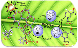 Graphical abstract: A photosensitive conjugated pyromellitic-based covalent organic framework composite for visible-light-driven NADPH cofactor regeneration and aerobic oxidation in green photocatalytic applications