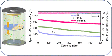 Graphical abstract: Bifunctional Mo-doped SnS2 nanosheets enabling synergistic polysulfide confinement and catalytic conversion in Li–S batteries