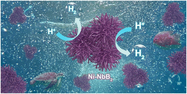 Graphical abstract: Electronic tailoring of Ni–NbB2 nanorods via molten salt synthesis for high-efficiency alkaline hydrogen evolution