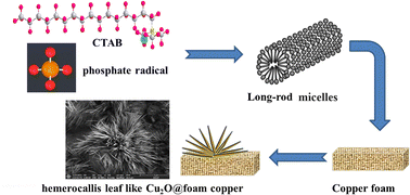 Graphical abstract: Facile synthesis of hemerocallis leaf-like Cu2O@foam copper for photo-degradation of tetracycline