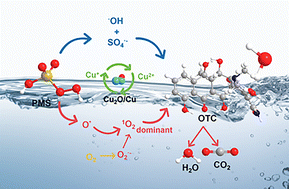 Graphical abstract: Unveiling reaction mechanisms of copper-based catalysts for peroxymonosulfate activation in Fenton-like reactions for sustainable water decontamination