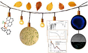 Graphical abstract: Copper(ii) complexes with a hybrid phosphinyl-phenanthroline ligand: synthesis, crystal structures and effect of phosphinyl functionalization on the cytotoxicity