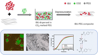Graphical abstract: Facile, single-step process for the preparation of controlled release formulations of ibuprofen in a hydrophilic matrix using supercritical CO2