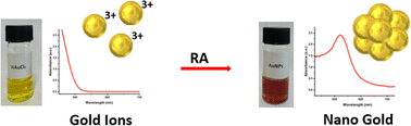 Graphical abstract: Novel synthesis and SPR characterization of gold nanoparticles