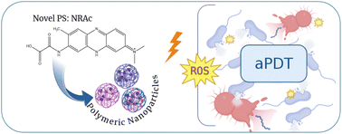 Graphical abstract: A novel neutral red derivative loaded into polymeric nanoparticles: study of its photoinactivation against Staphylococcus aureus