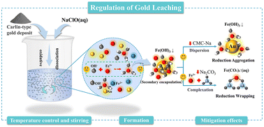 Graphical abstract: Regulation mechanism of secondary encapsulation in the leaching of Guizhou's Carlin-type gold ore with sodium hypochlorite