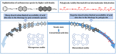 Graphical abstract: Decoupled impact of acidity and mesoporosity on catalyst deactivation during glycerol dehydration over ZSM-5 zeolites