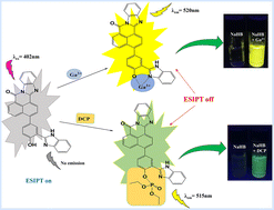 Graphical abstract: A naphthalimide–benzimidazole conjugate for the light-up fluorescence detection of Ga3+ and DCP