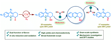 Graphical abstract: Boric/boronic acid-promoted redox transformation of 4-hydroxy-1,2,3,4-tetrahydroacridine N-oxides to functionalized 2,3-dihydroacridin-4(1H)-ones and mechanistic studies using DFT calculations