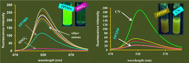 Graphical abstract: Phosphonium and ammonium fluorescein for selective detection of HSO4− and CN− ions in aqueous media