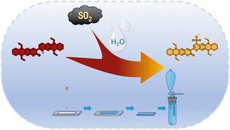 Graphical abstract: A quinoxaline-modified coumarin fluorescent probe for sulfur dioxide detection and preparation of PVA hydrogel sensor
