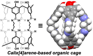 Graphical abstract: Synthesis and crystal structure of a [2+4]-type organic cage based on calix[4]arene