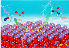 Graphical abstract: Amorphous MnO2 with low-coordinated Mn sites for efficient electrochemical urea production from CO2 and NO