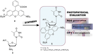 Graphical abstract: Synthesis, photophysical, theoretical and electrochemical evaluation of a new Rhodamine-ChalcogenoAmino-Thymidine (RhoCAT) hybrid derivative