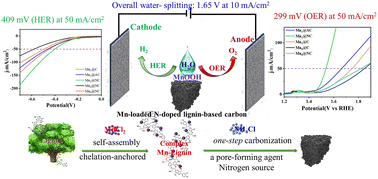 Graphical abstract: Fabrication of manganese-loaded lignin-derived carbon via an in situ anchoring strategy for water electrolysis