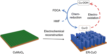 Graphical abstract: Electrochemical reconstruction of CuMoO4 into CuO nanosheets for efficient electro-oxidation of 5-hydroxymethylfurfural