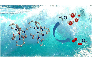 Graphical abstract: Synthesis, characterization and electrocatalytic activity of a novel binuclear polypyridine nickel complex