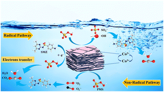 Graphical abstract: Fabrication of Co(OH)F catalyst for efficient peroxymonosulfate activation in sulfamethazine degradation