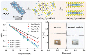Graphical abstract: Composition controlled metallic Sn-doped MoS2 nanosheets for a flexible and wearable temperature sensor