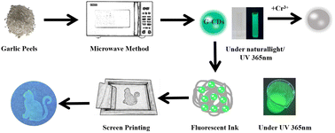 Graphical abstract: Green synthesis of garlic peel-based carbon dots for detection of metal ions and printable anti-counterfeiting applications