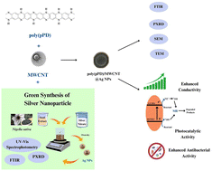 Graphical abstract: Green-synthesized silver nanoparticle incorporated poly(para-phenylenediamine)/MWCNT conductive nanocomposite for enhanced antibacterial activity and photocatalytic degradation of methylene blue dye