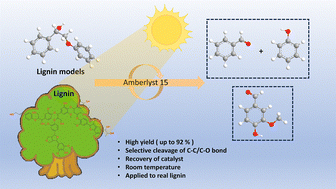 Graphical abstract: Photocatalytic oxidation of lignin model compounds to benzaldehyde and phenol: a preliminary study on extracted lignin