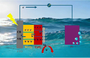 Graphical abstract: Ag-Boosted CoOx/BiVO4 p–n heterojunction for efficient photoelectrochemical water splitting