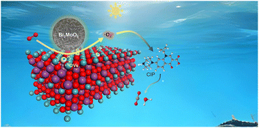 Graphical abstract: Solvent and temperature-mediated nanoarchitectonics of hierarchical Bi2MoO6 for efficient antibiotic degradation