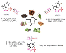 Graphical abstract: Skeletal rearrangements and structures of halosulfonamidation products of caryophyllene
