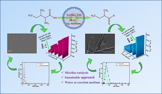 Graphical abstract: Unveiling the role of structure–polarity interplay in non-ionic micellar catalyzed oxidative transformation of isoleucine: towards sustainable oxidation in aqueous media