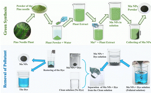 Graphical abstract: Bio-inspired manganese nanoparticles from pine needles with enhanced adsorptive performance