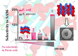 Graphical abstract: Supramolecular networks of picrate derivatives with tunable hydrogen-bonding densities for selective bacterial killing