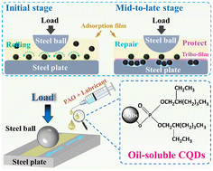 Graphical abstract: Synthesis of bis(2-ethylhexyl) phosphate modified carbon quantum dots for enhanced oil-based lubrication
