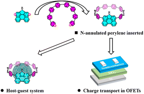 Graphical abstract: Design, synthesis, and properties of N-annulated perylene-embedded carbon nanorings