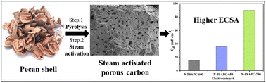 Graphical abstract: Bio-derived steam-activated porous carbon with a high specific surface area as a sustainable metal-free electrocatalyst for hydrogen evolution applications