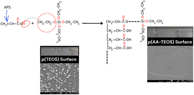 Graphical abstract: Simultaneous radical and condensation polymerization for the fabrication of cost-effective, transparent, and underwater oil-repellent hybrid films