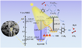 Graphical abstract: Constructing a p–n heterojunction between Bi2WO6 and Co3O4 for enhanced photothermocatalytic degradation of toluene