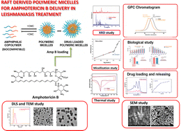 Graphical abstract: Amphotericin B encapsulation and controlled release from PSSA-b-PMAV micelles for anti-leishmanial treatment