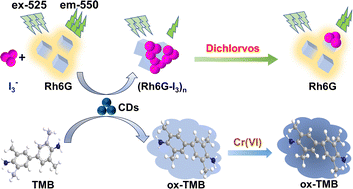 Graphical abstract: Iron-doped poly(amidoamine)-based carbon dots with multienzyme-mimetic activities for dual-mode fluorescence and colorimetric detection of dichlorvos and Cr(vi)