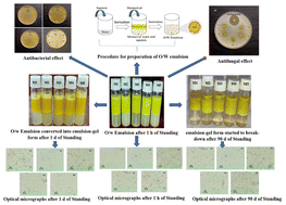 Graphical abstract: Design and formulation of saponin-based, mustard oil-derived, extra stable oil-in-water emulsion: exploration of its antimicrobial activity