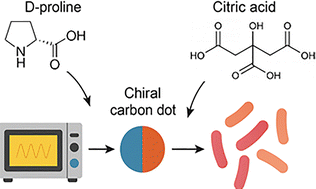 Graphical abstract: A sustainable one-pot synthesis of chiral carbon dots using response surface methodology: elucidating the mechanistic pathways through biological responses