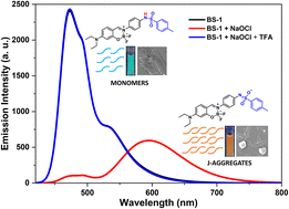 Graphical abstract: Reversible supramolecular self-assembly via a deprotonation-protonation strategy