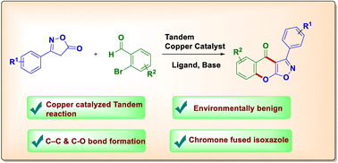 Graphical abstract: Copper-catalyzed tandem cyclization via (C–O) arylation and oxidative acylation for the construction of chromeno-fused isoxazole derivatives