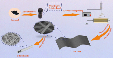 Graphical abstract: A coal-derived carbon fiber scaffold with superior mechanical robustness for ultra-stable lithium metal anodes