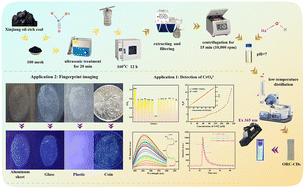 Graphical abstract: Dual applications of oil-rich coal-based carbon dots: sensitive detection of Cr(vi) and fingerprint imaging